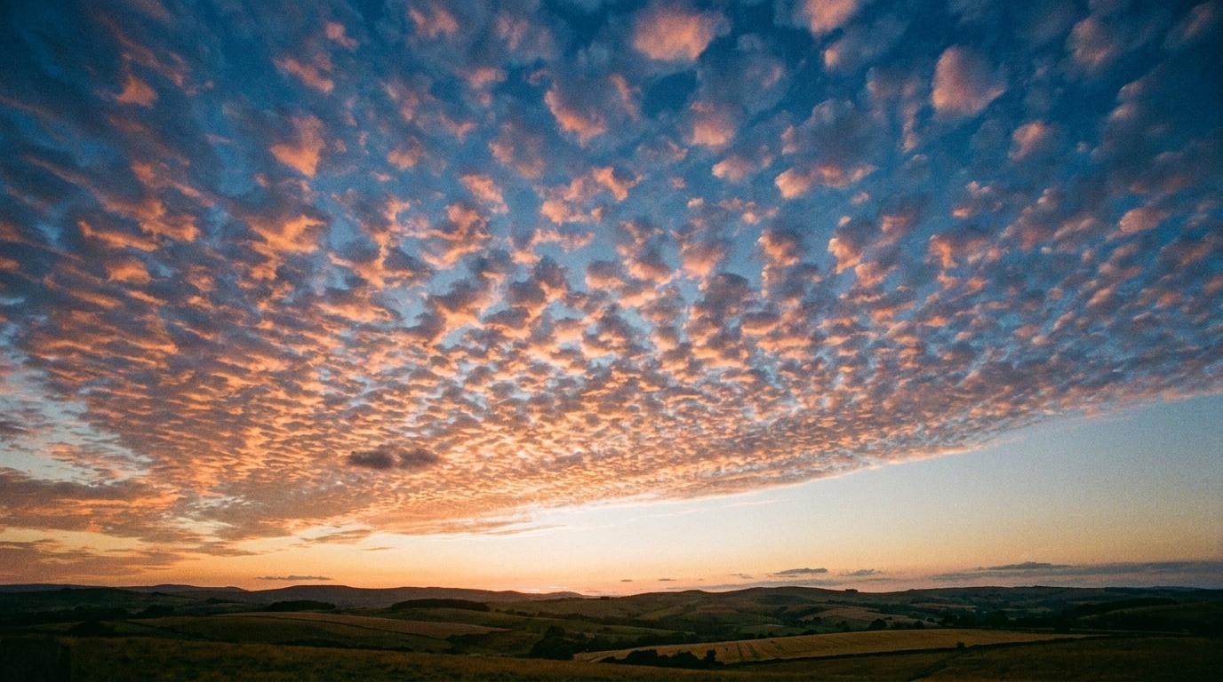 Altocumulus lacunosus