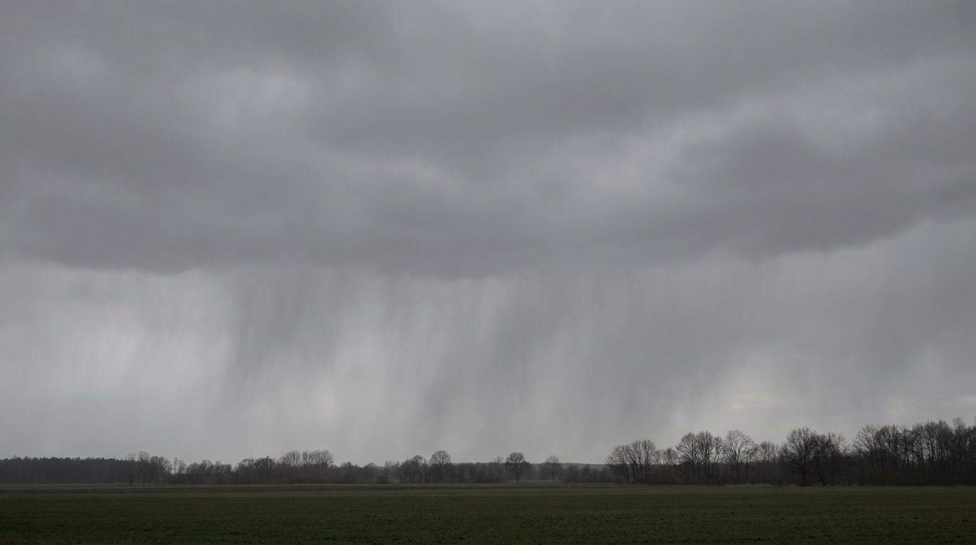 Altostratus praecipitatio