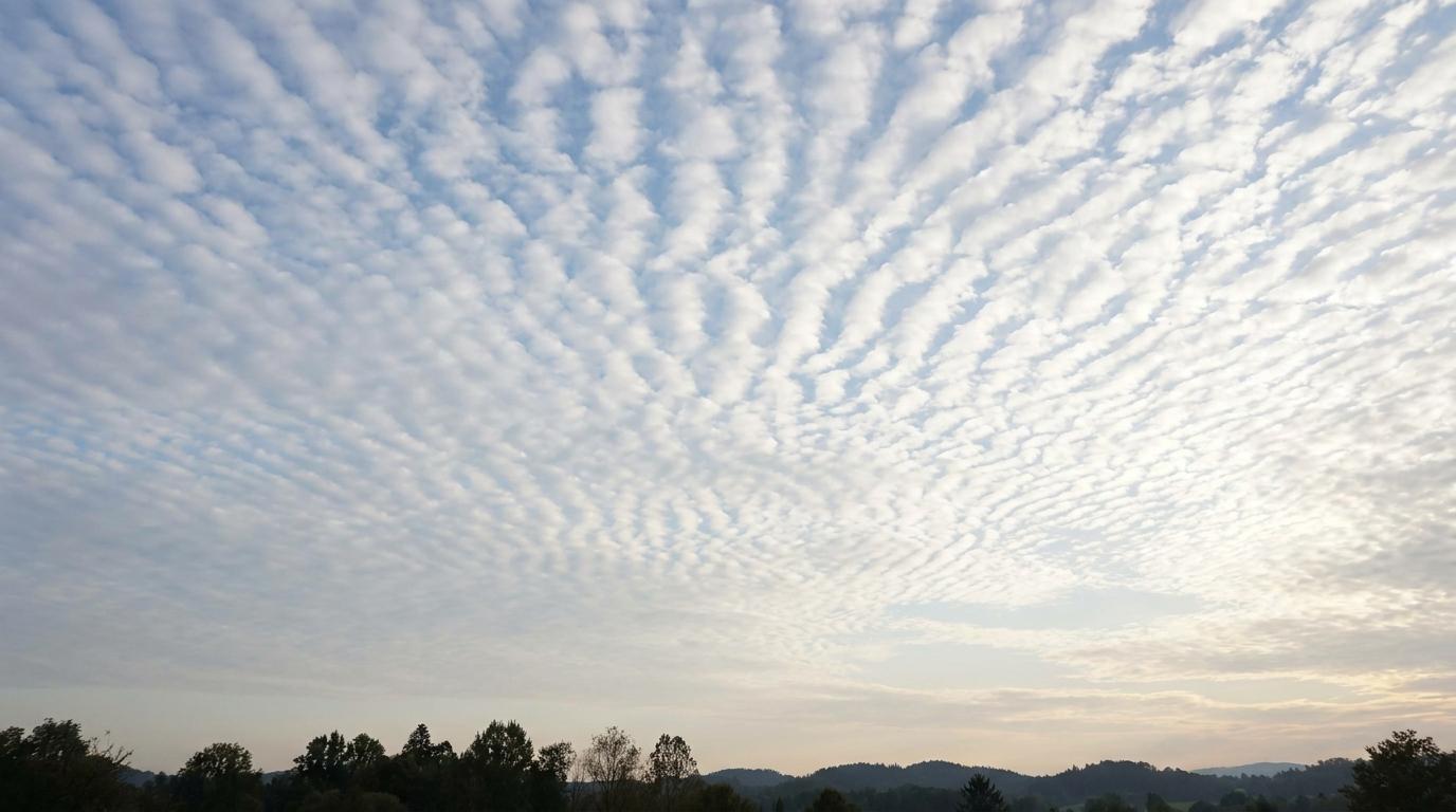 Cirrocumulus undulatus