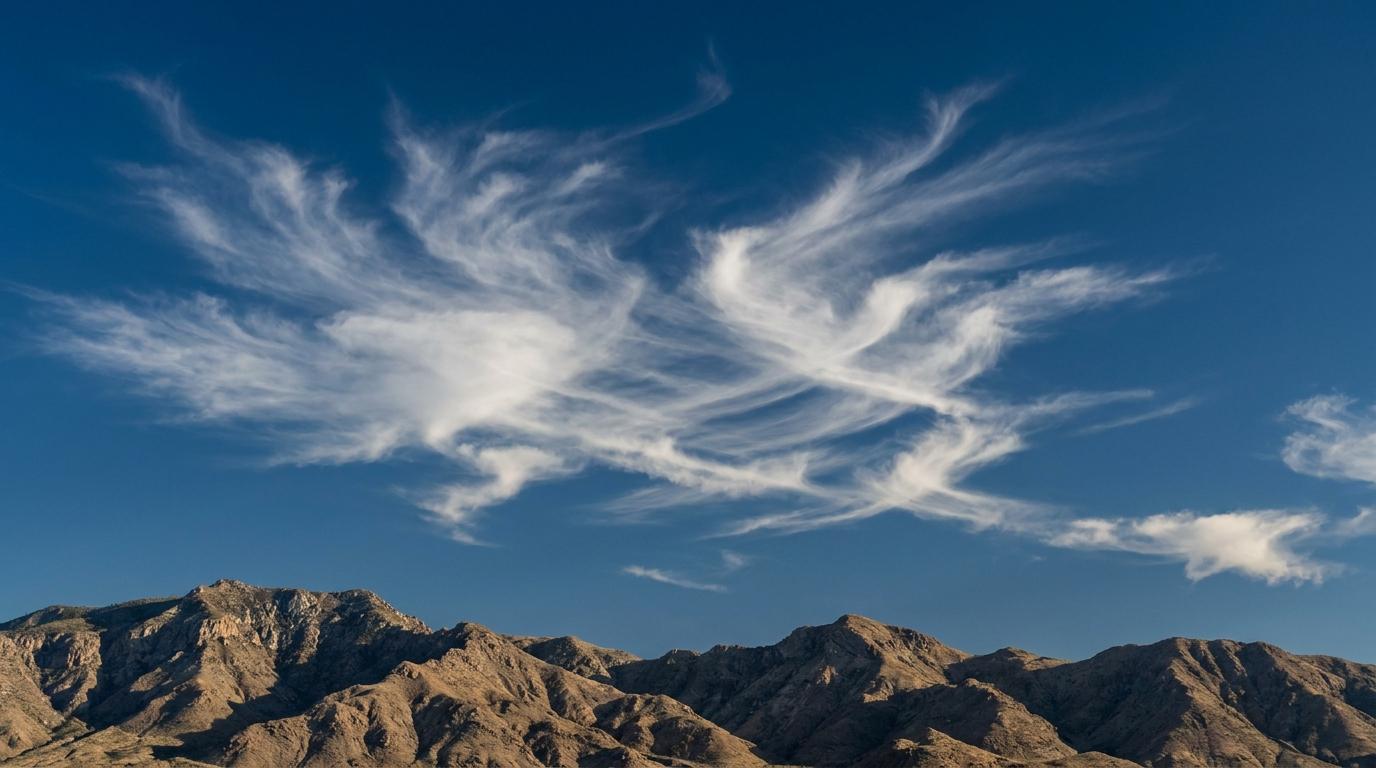 Cirrus intortus