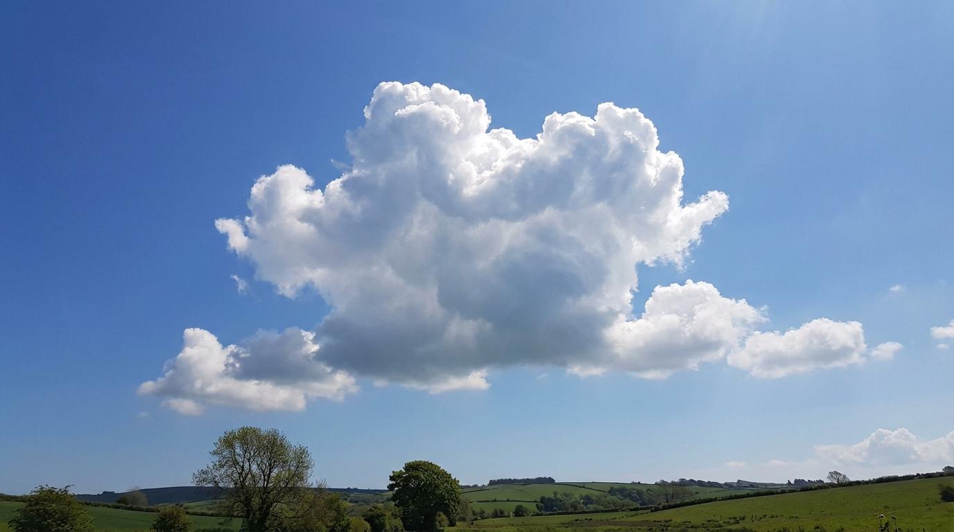 Cumulus mediocris