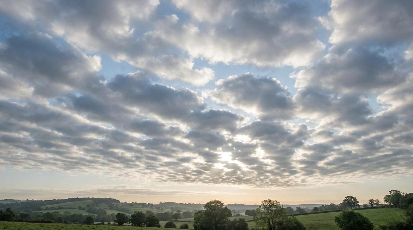 Stratocumulus perlucidus
