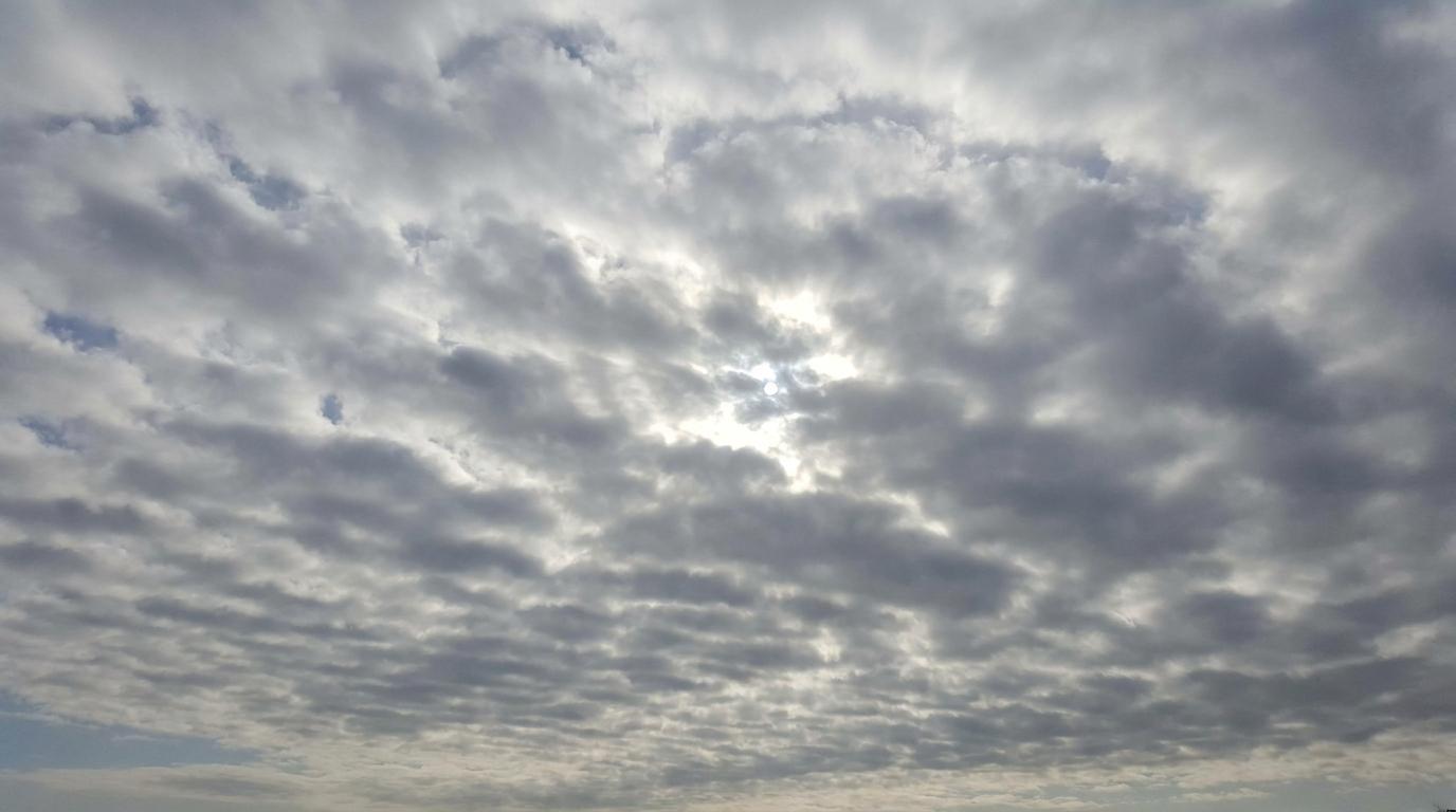 Stratocumulus translucidus