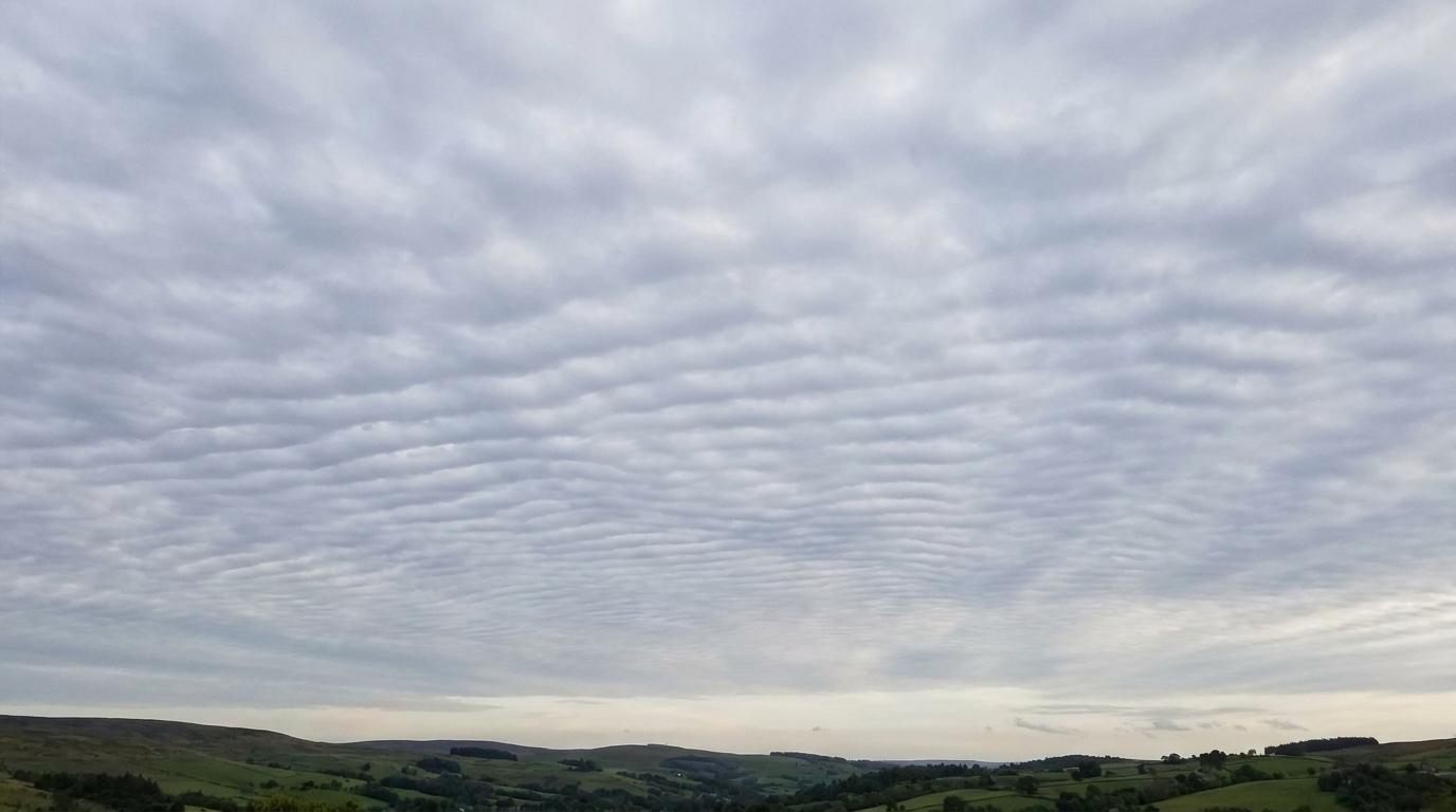 Stratus undulatus
